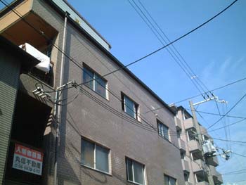 ����ȥ�����������Τ�������������纣Τ��2�ˤ�ʪ��ܺ�