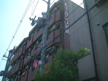 ���Ѽ̿�