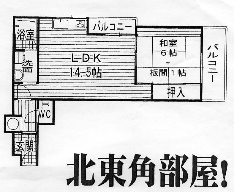 間取写真